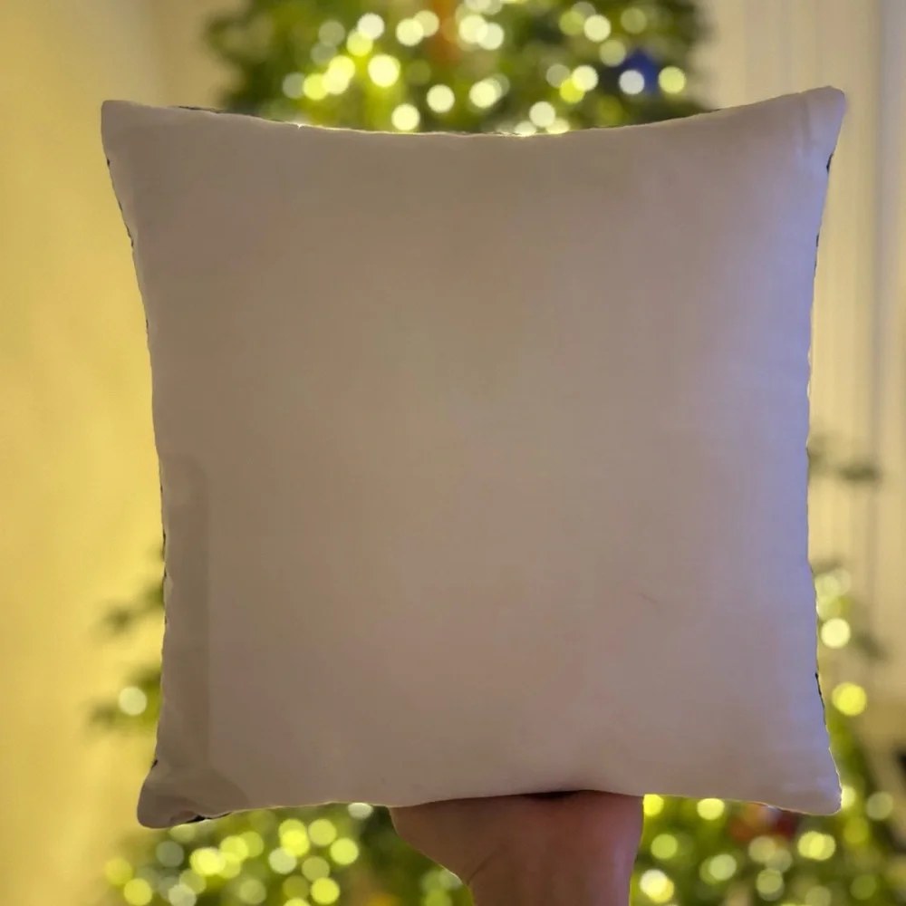 Pottery Barn New York Apple Pillow 12x12 Embroidered Cotton‎